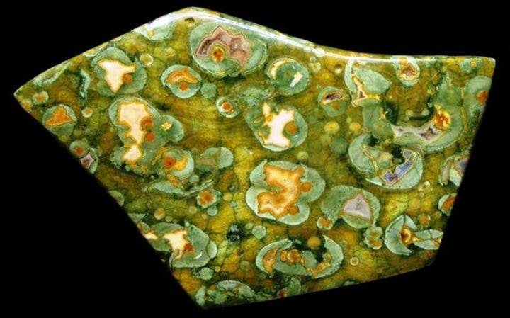 Rainforest Rhyolite