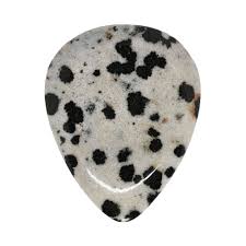 Dalmatian Jasper