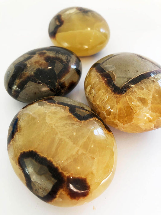 Septarian